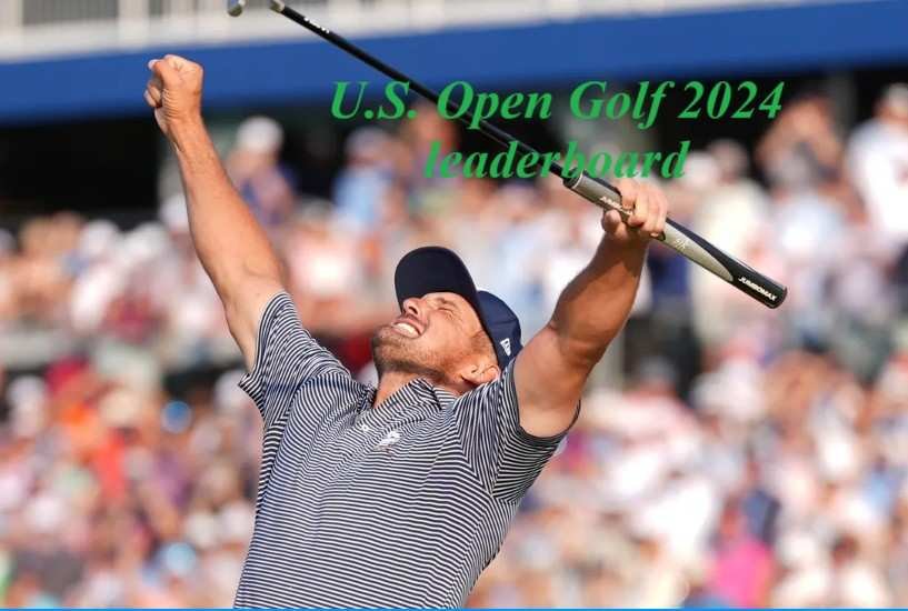 U.S. Open Golf 2024 leaderboard